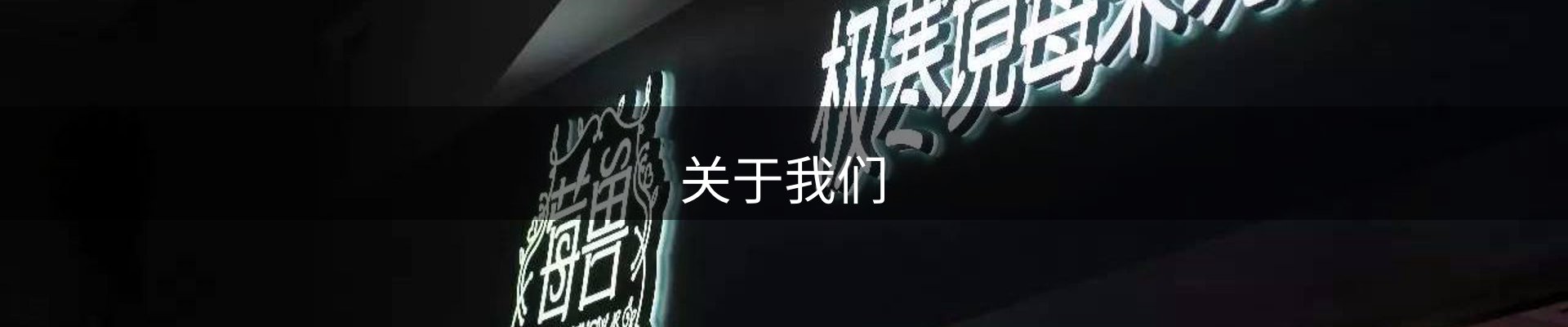 关于我们